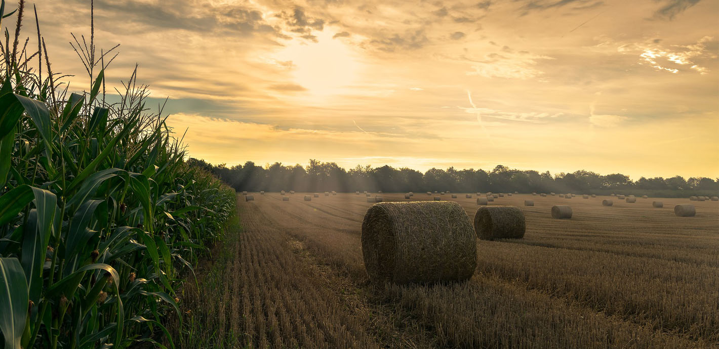 ПОДБАЄМО ПРО УРОЖАЙ РАЗОМ